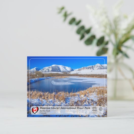 ユネスコ – ウォータートングレイシャ国際的ピースパーク ポストカード (スタンド正面)
