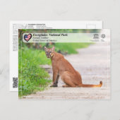 ユネスコ – エバーグレーズ国立公園 – フロリダパンサー ポストカード (正面/裏面)