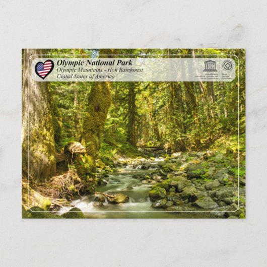 ユネスコ – オリンピックナショナルパーク – ホー熱帯雨林 ポストカード (正面)