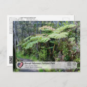 ユネスコ – ハワイ火山NP – オラア森林ポスト ポストカード (正面/裏面)