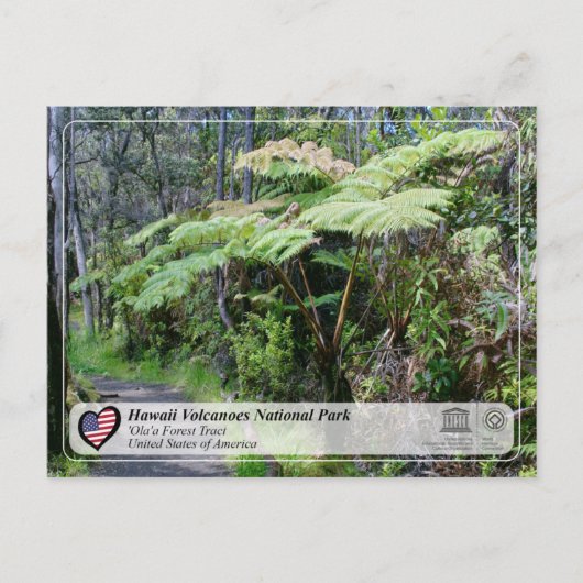 ユネスコ – ハワイ火山NP – オラア森林ポスト ポストカード (正面)