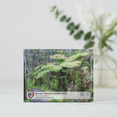 ユネスコ – ハワイ火山NP – オラア森林ポスト ポストカード (スタンド正面)