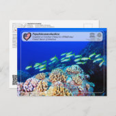 ユネスコ – パパアノーモカヤ – ガードナー・ピナクルス ポストカード (正面/裏面)