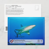 ユネスコ – パパアノーモカラ – マロリーフ葉書 ポストカード (正面/裏面)