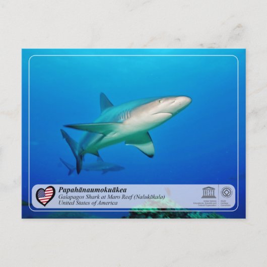 ユネスコ – パパアノーモカラ – マロリーフ葉書 ポストカード (正面)