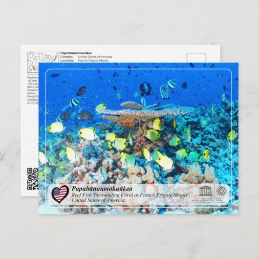 ユネスコ – パパーヤナウモクヤケア – フフランスのリゲート海岸 ポストカード (正面/裏面)