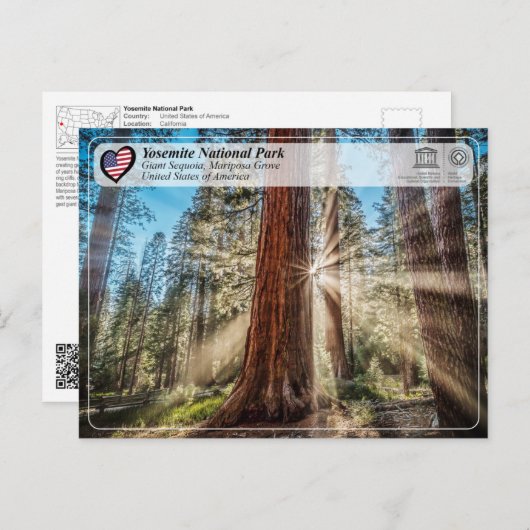 ユネスコ – ヨセミテ国立公園 – マリポサグローブP ポストカード (正面/裏面)