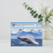 ユネスコ：氷河ベイ国立公園 – ホエールスポッティング ポストカード (スタンド正面)