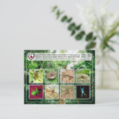 ユネスコ – 沖縄島北部 – 沖縄島北部 ポストカード (スタンド正面)