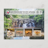 ユネスコ – 沖縄島北部 – 沖縄島北部 ポストカード (正面)