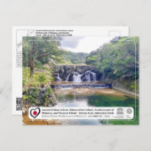 ユネスコ – 沖縄島北部 – 沖縄島北部 P ポストカード (正面/裏面)