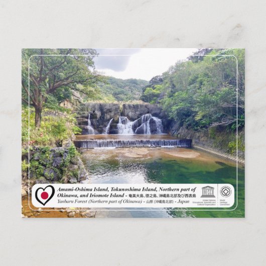 ユネスコ – 沖縄島北部 – 沖縄島北部 P ポストカード (正面)