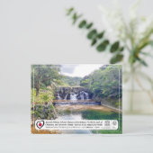 ユネスコ – 沖縄島北部 – 沖縄島北部 P ポストカード (スタンド正面)