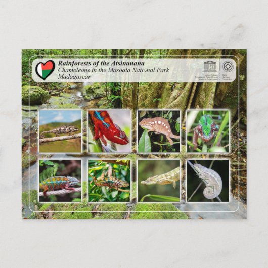 ユネスコWHSアツシナナナマソアラ国立公園 ポストカード (正面)