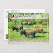 ユネスコWHS – ウッドバッファロー国立公園 ポストカード (正面/裏面)