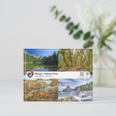 ユネスコWHS – オリンピック国立公園 ポストカード (スタンド正面)