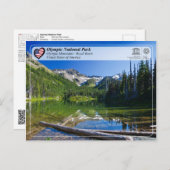 ユネスコWHS – オリンピック国立公園 – 王室の流域 ポストカード (正面/裏面)
