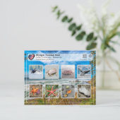 ユネスコWHS – オリンピック国立公園 – Marine Life ポストカード (スタンド正面)