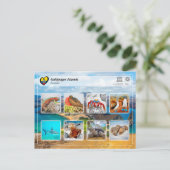 ユネスコWHS – ガラパゴス諸島 ポストカード (スタンド正面)