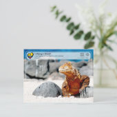 ユネスコWHS – ガラパゴス諸島 – ランドイグアナ ポストカード (スタンド正面)