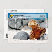 ユネスコWHS – ガラパゴス諸島 – ランドイグアナ ポストカード (正面/裏面)