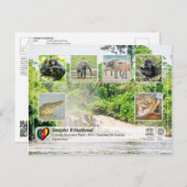 ユネスコWHS – サンガ国際 – ロベケ ポストカード (正面/裏面)