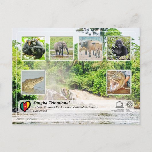 ユネスコWHS – サンガ国際 – ロベケ ポストカード (正面)