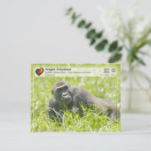 ユネスコWHS – サンガ国際 – ロベケ ポストカード (スタンド正面)