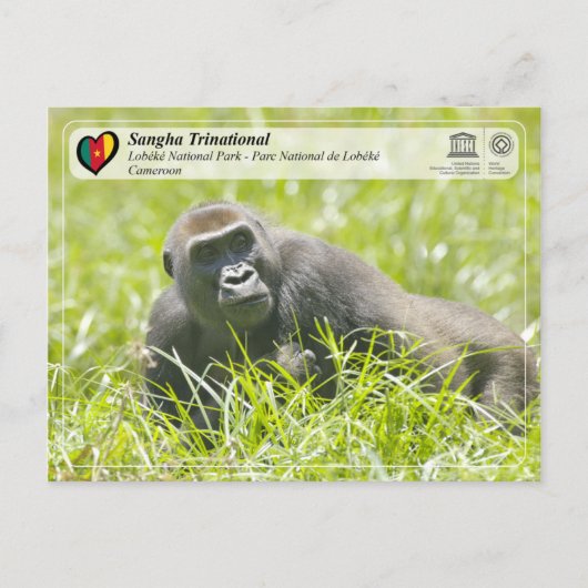 ユネスコWHS – サンガ国際 – ロベケ ポストカード (正面)