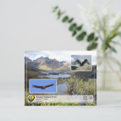 ユネスコWHS – サンゲー国立公園 – アンディアンコンドル ポストカード (スタンド正面)