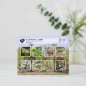 ユネスコWHS – シュンドルボン ポストカード (スタンド正面)