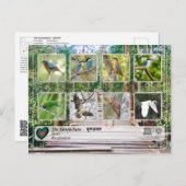 ユネスコWHS – シュンドルボン ポストカード (正面/裏面)