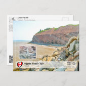 ユネスコWHS – ジョギンス化石の崖 ポストカード (正面/裏面)