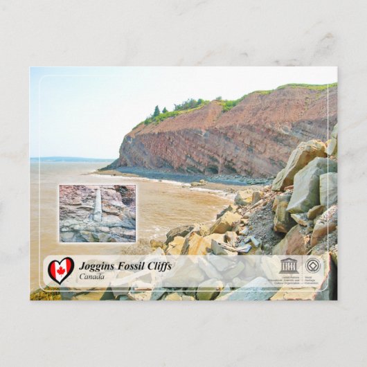 ユネスコWHS – ジョギンス化石の崖 ポストカード (正面)