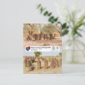 ユネスコWHS – セネガンビアの石輪 ポストカード (スタンド正面)