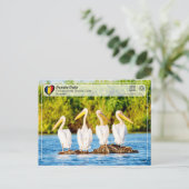 ユネスコWHS – ドナウベデルタのペリカン ポストカード (スタンド正面)