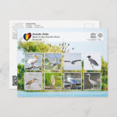 ユネスコWHS – ドナウベデルタの鳥 ポストカード (正面/裏面)