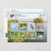 ユネスコWHS – ドナウベデルタの鳥 ポストカード (正面/裏面)