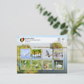 ユネスコWHS – ドナウベデルタの鳥 ポストカード (スタンド正面)