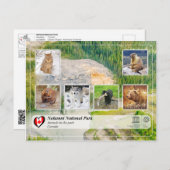 ユネスコWHS – ナハニ国立公園 ポストカード (正面/裏面)