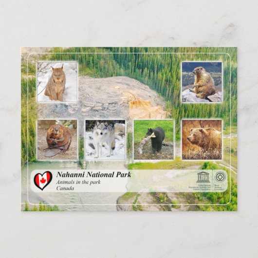 ユネスコWHS – ナハニ国立公園 ポストカード (正面)