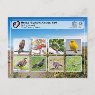ユネスコWHS – ハワイ火山NP – 鳥 ポストカード