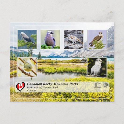 ユネスコWHS – バンフ国立公園 ポストカード (正面)