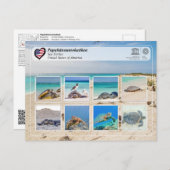 ユネスコWHS – パパーヤナウモクヤケア – ウミガメ ポストカード (正面/裏面)