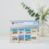 ユネスコWHS – パパーヤナウモクヤケア – ウミガメ ポストカード (スタンド正面)