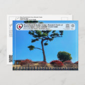 ユネスコWHS – モズ古墳 – 菰山塚古墳 ポストカード (正面/裏面)