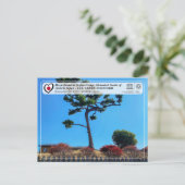 ユネスコWHS – モズ古墳 – 菰山塚古墳 ポストカード (スタンド正面)