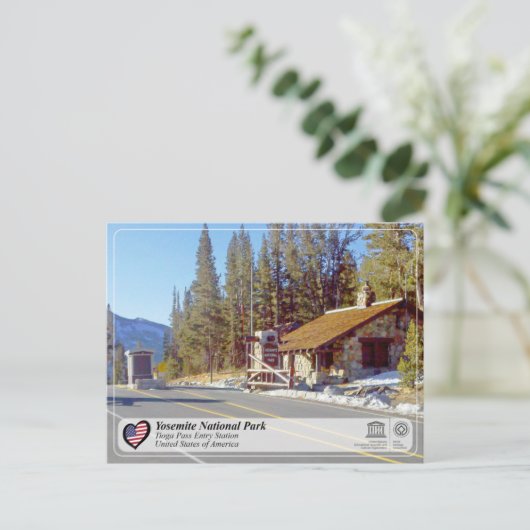 ユネスコWHS – ヨセミテNP – ティオガパスはがき ポストカード (スタンド正面)