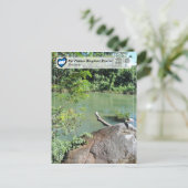 ユネスコWHS – リオプラタノ生物圏保護区 ポストカード (スタンド正面)