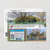 ユネスコWHS – 古市 – 青山古墳 – 青山古墳 ポストカード (正面/裏面)